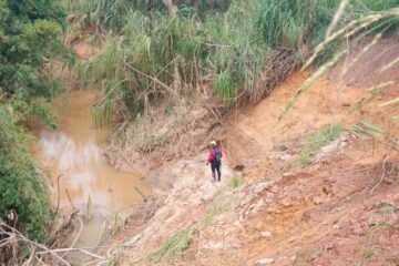 Buscas por desaparecido entram em novo dia e mobilizam equipes terrestres, cães e drones em Ubá