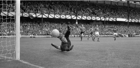 Top 8 melhores goleiros da história do futebol