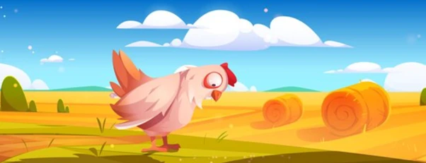 Jogo da Galinha | Guia completo e dicas para ganhar