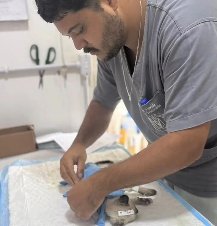 Itabira ultrapassa 5 mil castrações gratuitas de cães e gatos e amplia mutirão durante campanha Abril Laranja