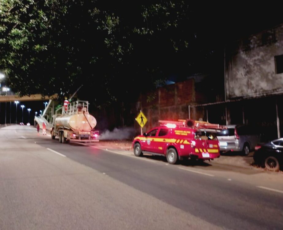 Incêndio em árvore mobiliza bombeiros e Defesa Civil às margens da BR-381, em Nova Era