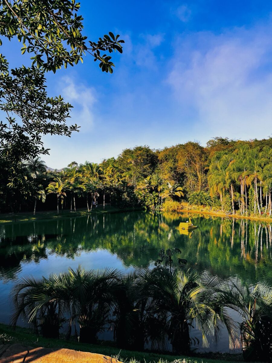 Inhotim celebra 20 anos com novas obras conectando arte, natureza e memória em Minas Gerais