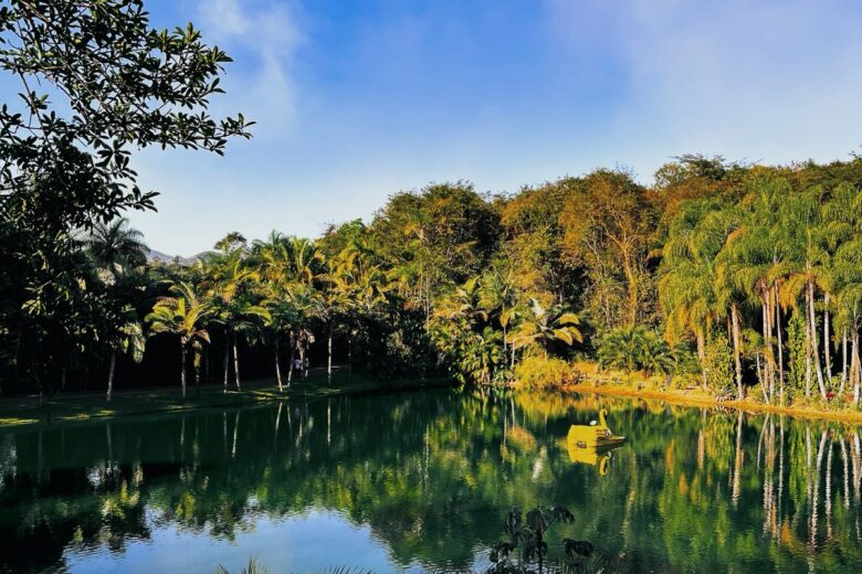 Inhotim celebra 20 anos com novas obras conectando arte, natureza e memória em Minas Gerais