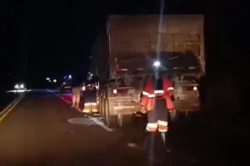 Homem em situação de rua morre atropelado por carreta na BR-381, em João Monlevade