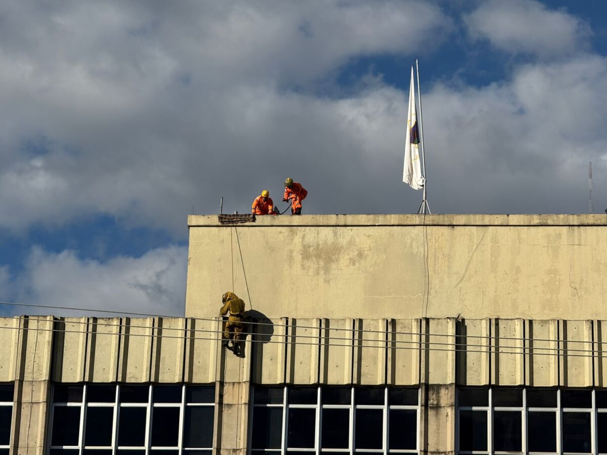 Bombeiros usam rapel para eliminar enxame de abelhas na Prefeitura de Itabira