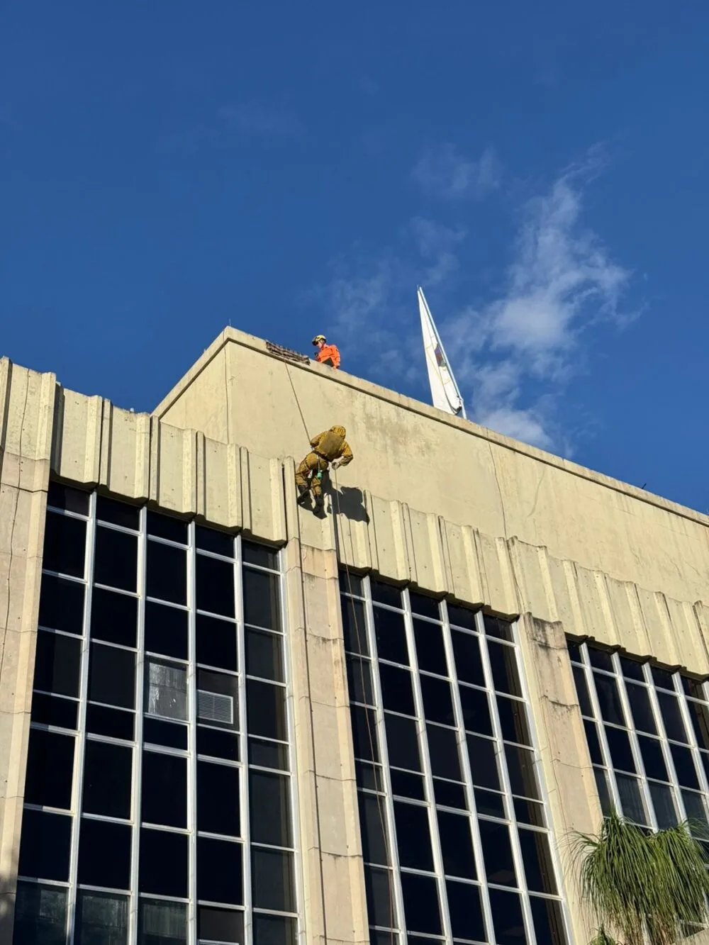 Bombeiros usam rapel para eliminar enxame de abelhas na Prefeitura de Itabira