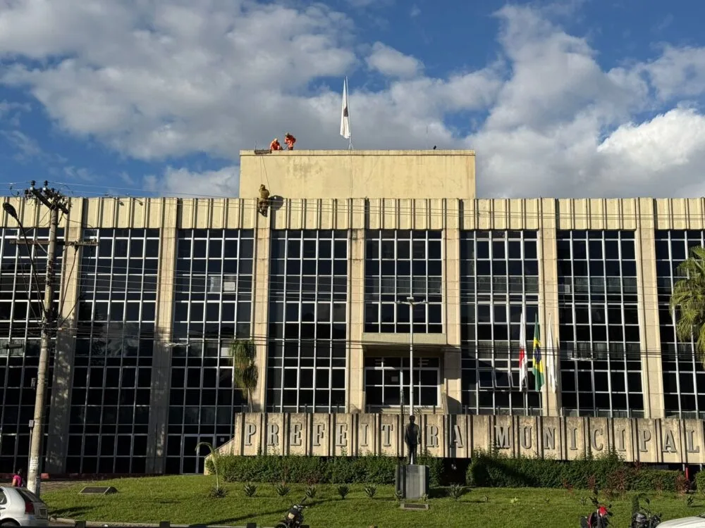 Bombeiros usam rapel para eliminar enxame de abelhas na Prefeitura de Itabira