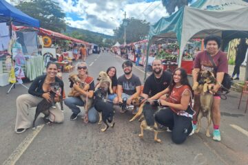 Quatro Patas leva cães resgatados para feira adoção na avenida Mauro Ribeiro