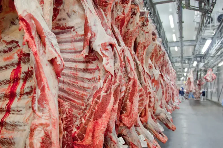 Veto à carne brasileira pela União Europeia traz impactos para JBS, Marfrig e Minerva