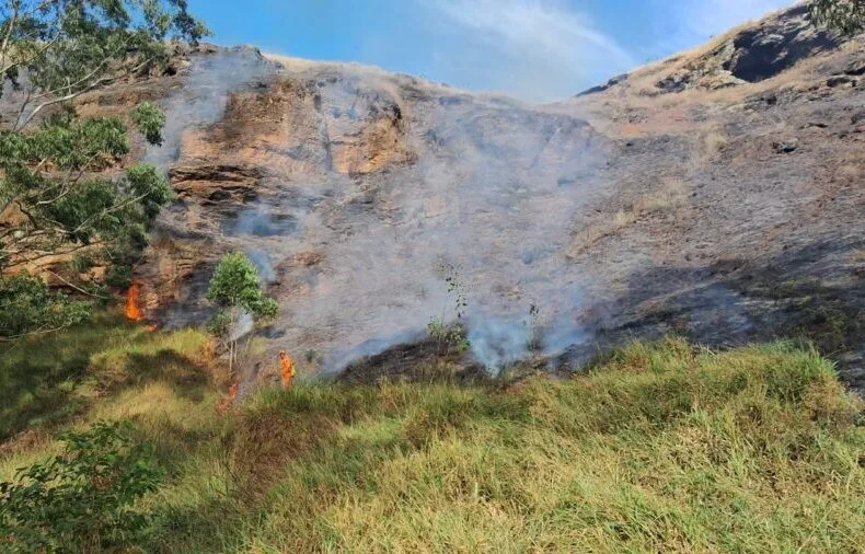 Incêndio em vegetação mobiliza bombeiros e ameaça residências em João Monlevade