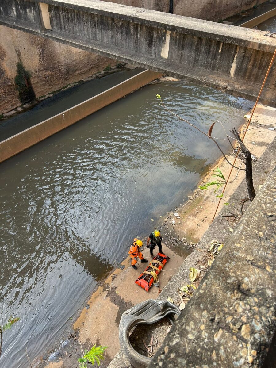 Bombeiros resgatam animal que caiu no rio Arrudas em Belo Horizonte