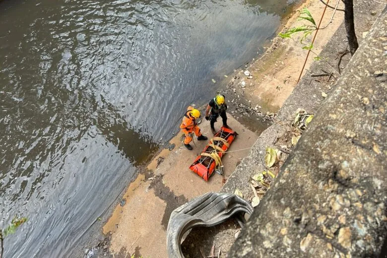 Bombeiros resgatam animal que caiu no rio Arrudas em Belo Horizonte