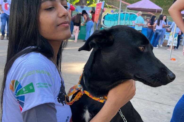 João Monlevade terá  Feira de Adoção de Animais no próximo  domingo(2)