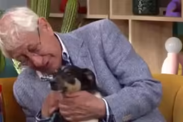 Quero encontrar uma família para cuidar do meu cachorro porque não consigo mais