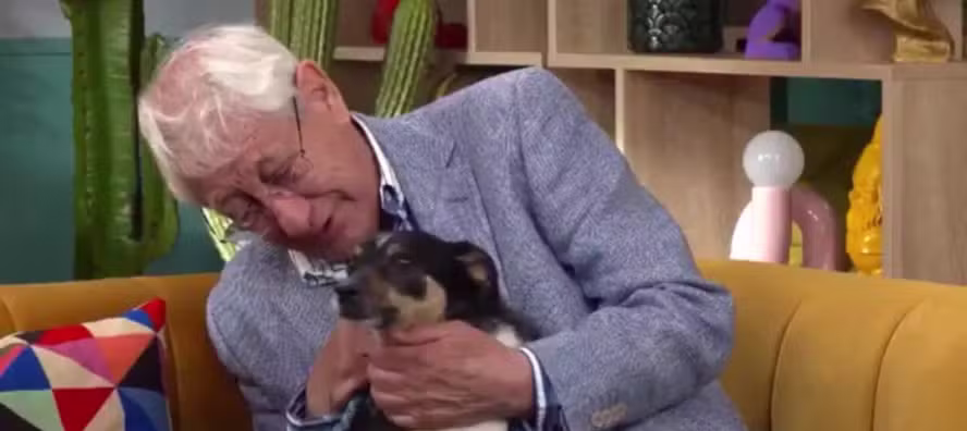 Quero encontrar uma família para cuidar do meu cachorro porque não consigo mais