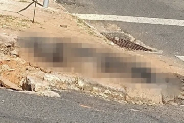 Homem é preso após atear fogo em cadela para atingir ex-companheira em Passos
