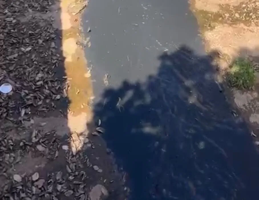 Itabira: secretária descarta indícios de óleo no Canal da Praia; origem da substância segue desconhecida