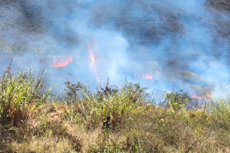 Incêndio em vegetação ameaça veículos e mobiliza força-tarefa dos bombeiros em João Monlevade