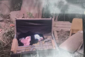 Moradores resgatam recém-nascido abandonado em terreno no município de Sabará