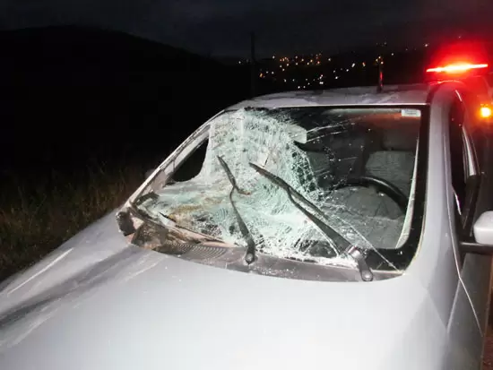Cavalo é atropelado e carro fica destruído