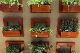 Jardim vertical em casa: 5 dicas para quem quer um espaço verde