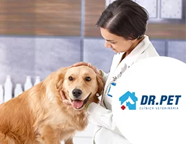 DrPet