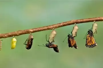 Mudanças precisam de tempo