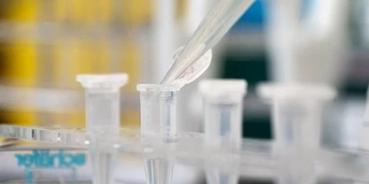 Novo recorde: Minas tem 9.593 novos casos de coronavírus em 24h Novo recorde: Minas tem 9.593 novos casos de coronavírus em 24h