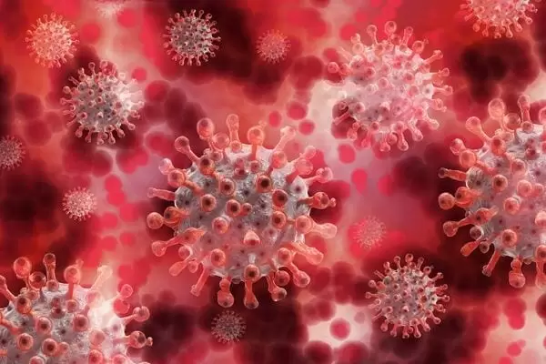 Cientistas brasileiros comprovam infecção simultânea por 2 variantes