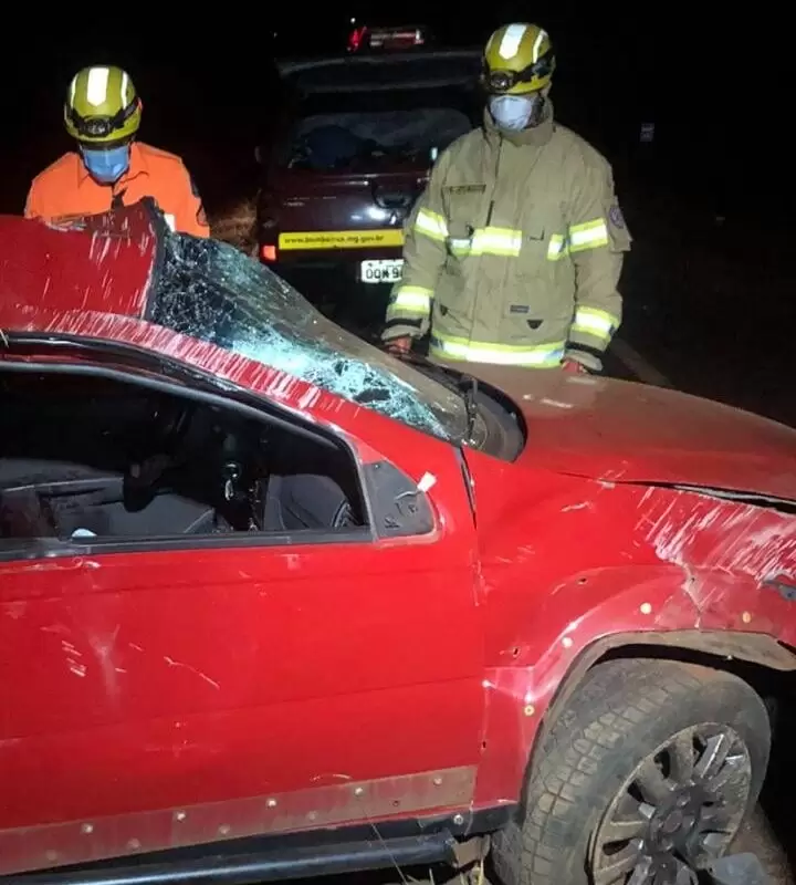 Animal atravessa rodovia e causa acidente fatal em Ituiutaba