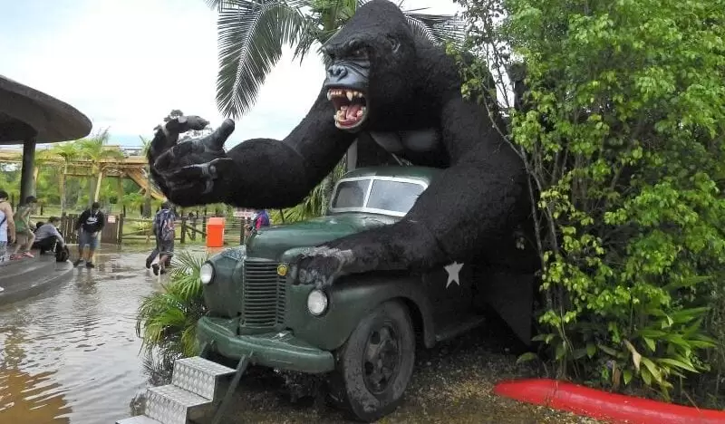 Criança fica em estado grave ao cair de atração no Beto Carrero World