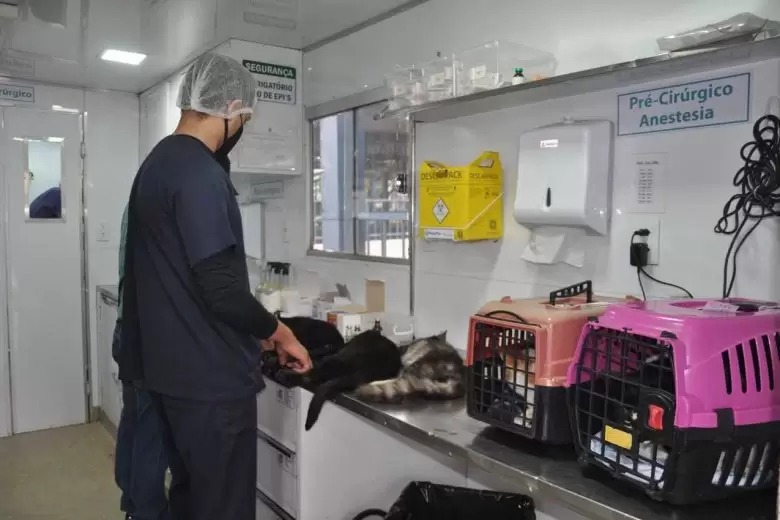 Neidson Freitas denuncia possíveis problemas em castração de animais em Itabira Neidson Freitas denuncia possíveis problemas em castração de animais em Itabira