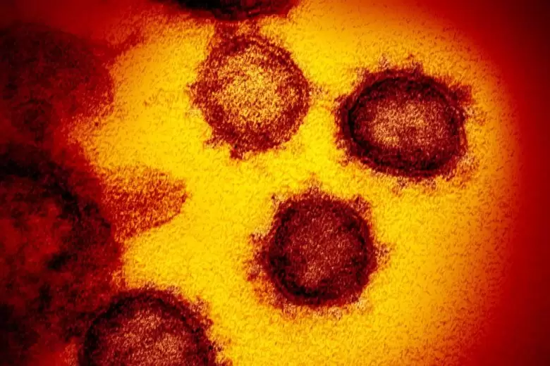 Fiocruz identifica subvariantes mais transmissíveis da Ômicron Fiocruz identifica subvariantes mais transmissíveis da Ômicron