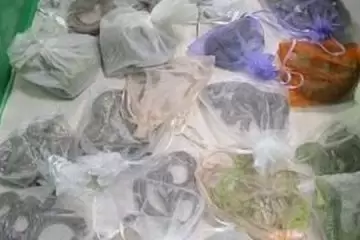 Com 52 répteis escondidos na roupa, homem é detido na fronteira dos EUA