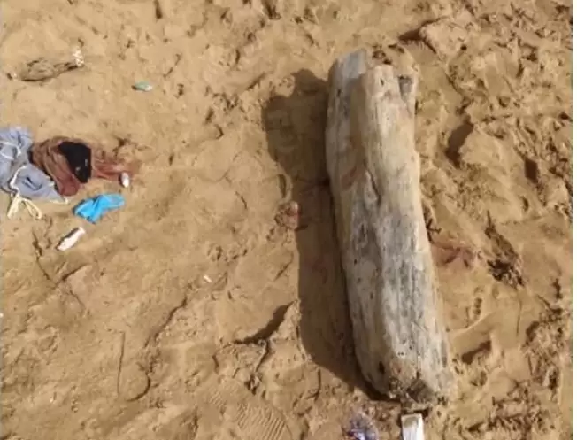 Polícia conclui que jovem abriu a barriga do namorado em Guarapari Polícia conclui que jovem abriu a barriga do namorado em Guarapari