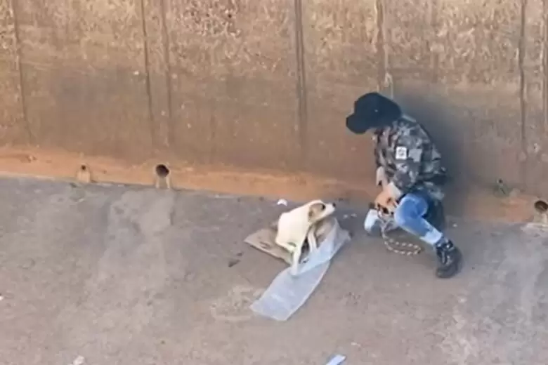 Dois cães são resgatados no Ribeirão Arrudas; veja vídeos Dois cães são resgatados no Ribeirão Arrudas; veja vídeos