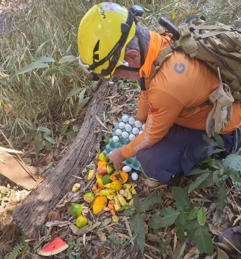 Brigadistas controlam incêndio no Parque Estadual Mata do Limoeiro