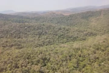 Saiba os dias e horários de funcionamento do Parque Estadual Mata do Limoeiro