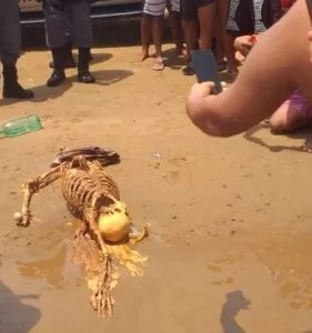 Banhistas encontram ossada em praia da Ponta Negra, em Manaus