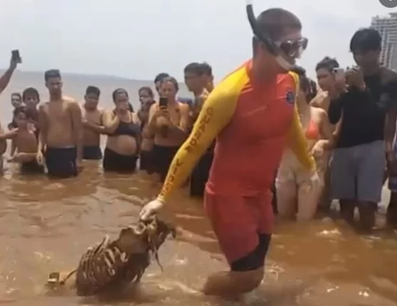 Banhistas encontram ossada humana em praia da Ponta Negra, em Manaus