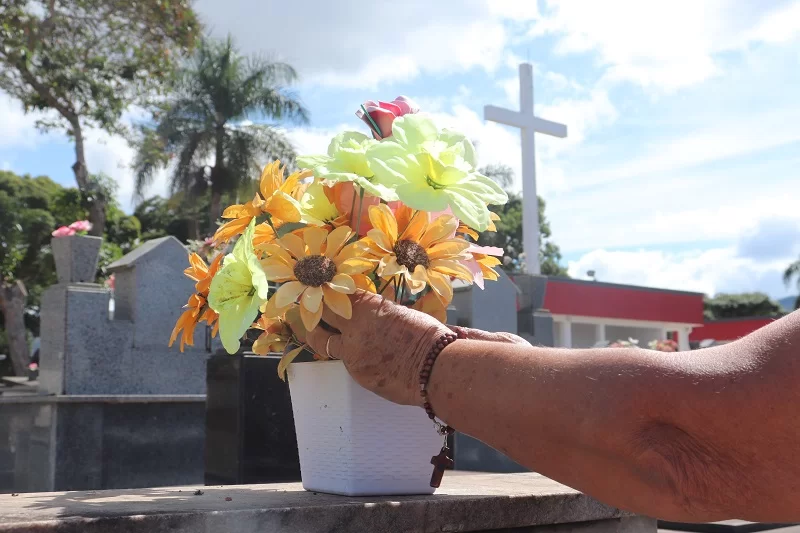 Os milagres atribuídos à Maria do Perpétuo Socorro, jovem assassinada nas proximidades do Carlos Chagas