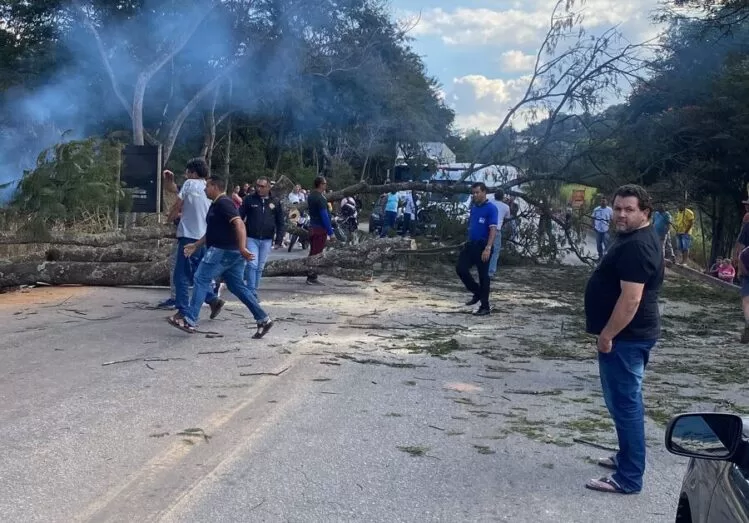 Queda de árvore interdita rodovia no Barro Branco em Itabira Queda de árvore interdita rodovia no Barro Branco em Itabira