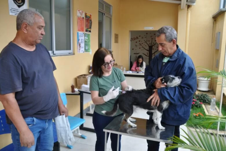 João Monlevade vacinou quase 8 mil cães e gatos em campanha de imunização antirrábica