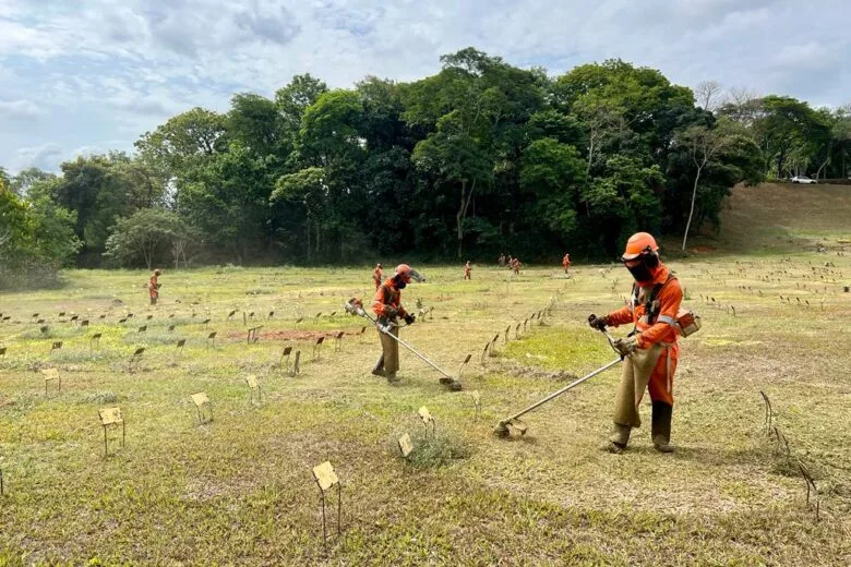 Prefeitura de Ipatinga prepara cemitérios para feriado de Finados Prefeitura de Ipatinga prepara cemitérios para feriado de Finados