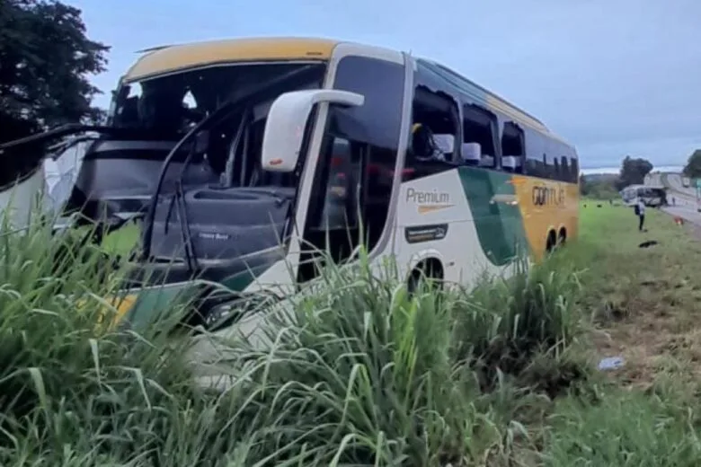 Acidente com ônibus deixa dois mortos na BR-381, em São Sebastião da Bela Vista Acidente com ônibus deixa dois mortos na BR-381, em São Sebastião da Bela Vista