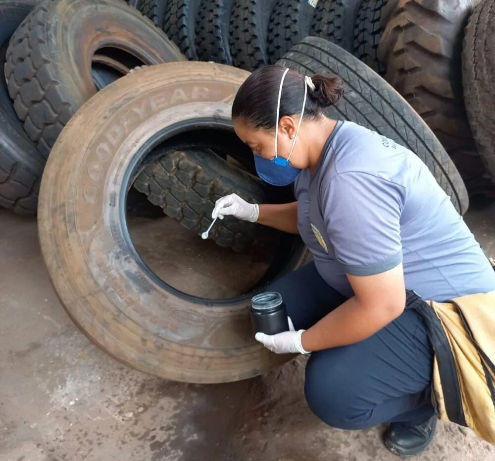 Itabira é o segundo município com mais casos de dengue em Minas Gerais