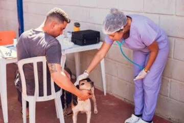 Itabira: primeiro mutirão do ano resulta na castração e microchipagem de 847 animais