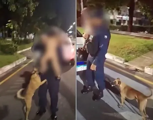 Bebê foge de casa em Belém e é encontrado de madrugada ao lado de cachorro caramelo