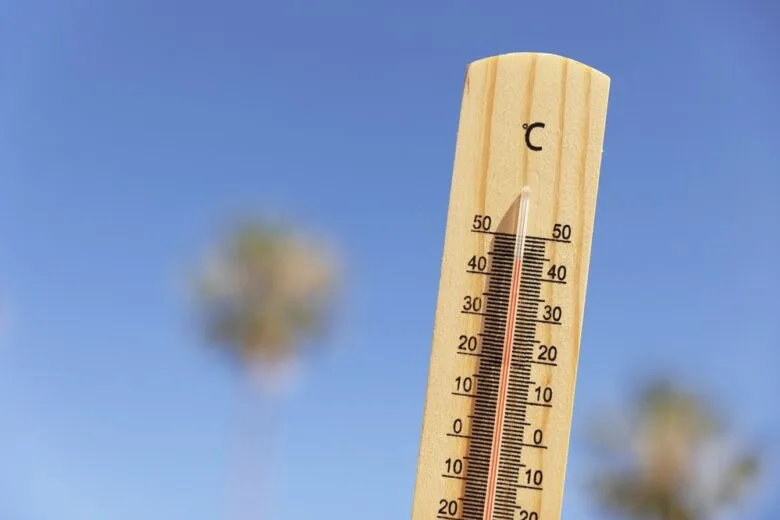 Informação quente: El Niño pode vir com temperaturas extremas num futuro próximo Informação quente: El Niño pode vir com temperaturas extremas num futuro próximo