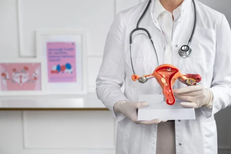Comissão da Mulher modifica Projeto de Lei estadual sobre endometriose Comissão da Mulher modifica Projeto de Lei estadual sobre endometriose